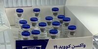 خبر مهم درباره دومین واکسن ایرانی کرونا 
