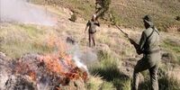 بی‌احتیاطی گردشگران / ۲.۵ هکتار از مراتع قوچان در آتش سوخت
