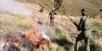 بی‌احتیاطی گردشگران / ۲.۵ هکتار از مراتع قوچان در آتش سوخت