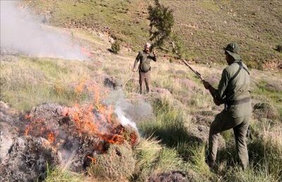 بی‌احتیاطی گردشگران / ۲.۵ هکتار از مراتع قوچان در آتش سوخت