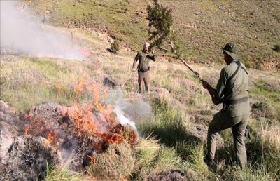بی‌احتیاطی گردشگران / ۲.۵ هکتار از مراتع قوچان در آتش سوخت