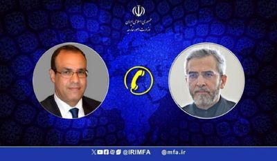 رایزنی علی باقری با مصر/ درخواست برگزاری یک نشست فوری