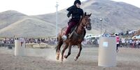 تفکیک جنسیتی بی سابقه در دولت سیزدهم/ هشدار سال 96 روحانی به واقعیت تبدیل می شود؟