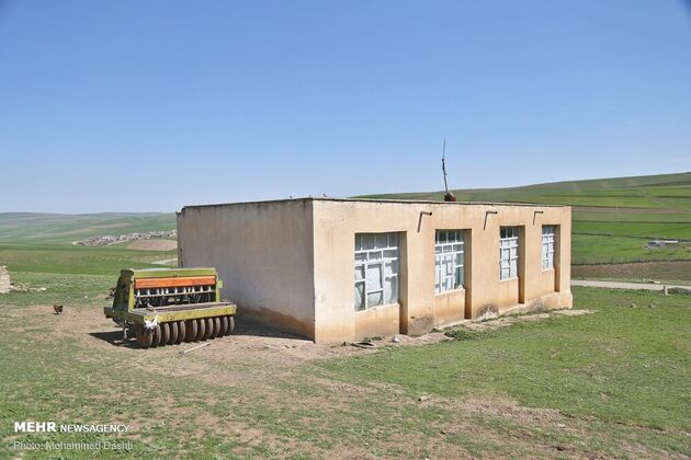 3747616_IMG_6311