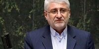 فرهنگی: دولت در اجرای مصوبه ارز ترجیحی، برعکس عمل کرد/ دهک‌بندی‌ها باید اصلاح شود
