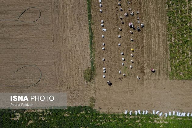 62351823_DJI_0226
