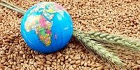جهان در آستانه یک بحران غذایی بزرگ | وال استریت ژورنال: ایران، چین و روسیه بازار جهانی کودهای کشاورزی را کنترل می‌کنند | بازهم پای تنگه هرمز در میان است