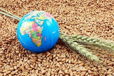 جهان در آستانه یک بحران غذایی بزرگ | وال استریت ژورنال: ایران، چین و روسیه بازار جهانی کودهای کشاورزی را کنترل می‌کنند | بازهم پای تنگه هرمز در میان است