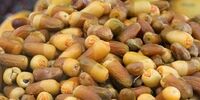 ۸۲ کشور خریدار این محصول ایرانی/میزان ارزآوری چقدر است؟