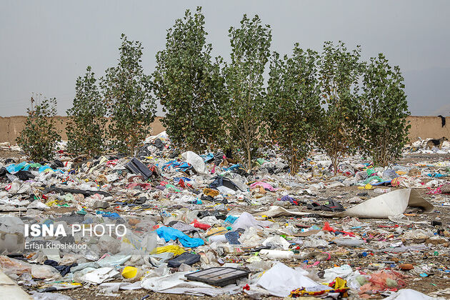 61469416_Erfan-Khoshkhoo-0377