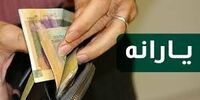 پرداخت یارانه 120 هزار تومانی خرید کالاهای اساسی در مجلس تصویب شد+ جزئیات