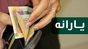 پرداخت یارانه 120 هزار تومانی خرید کالاهای اساسی در مجلس تصویب شد+ جزئیات