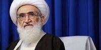 آیت‌الله نوری همدانی: انقلاب اسلامی با توطئه دشمنان از بین نمی رود 