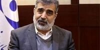 کمالوندی: در موضوع هسته‌ای به لبه قدرت رسیدیم | صنعت هسته‌ای ایران مثل لیبی و عراق نیست | از قبل برای شرایط بحرانی تمرین کرده بودیم | آژانس به اسرائیل برای حمله به ایران چراغ سبز نشان داد
