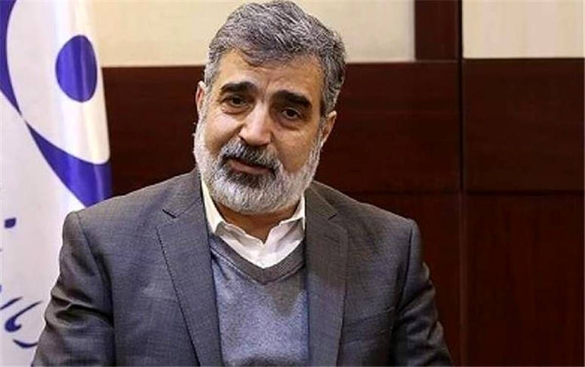 کمالوندی: پروتکل ساخت راکتورهای کوچک با روسیه در حال نهایی‌شدن است | در حوزه ساخت نیروگاه‌های هسته‌ای به خودکفایی دست یافته‌ایم