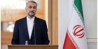 هشدار امیرعبداللهیان به ژنو/اشغالگران را پاسخگو کنیم+فیلم و عکس