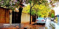 این 4 استان کشور منتظر بارندگی شدید باشند