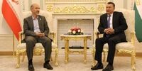 جزئیات دیدار وزیر نیرو ایران با مقامات تاجیک در «دوشنبه» +عکس