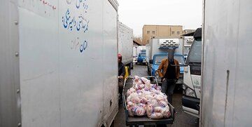خیرد و فروش مرغ با چرخ دستی در تهران!