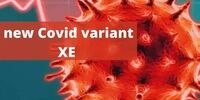جزئیات تازه از سویه «اُمیکرون Xe»+راه‌های تشخیص