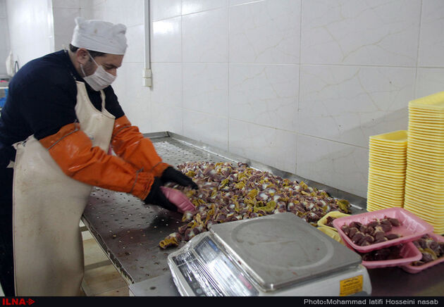 کشتارگاه مرغ در سنندج
