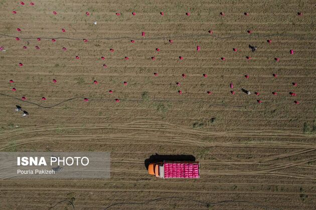 62351830_DJI_0194