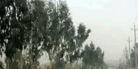 هشدار هواشناسی به تهرانی ها / تندباد خیلی شدید در راه پایتخت