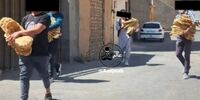 اخبار بیگانه‌ستیزانه جدید علیه افغانستانی‌ها در برخی رسانه‌ها!+ عکس 