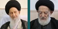 تماس تلفنی علوی گرگانی با شبیری زنجانی؛ تبادلات میان بزرگان حوزه محترمانه و مخفیانه باشد