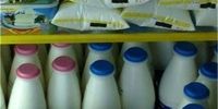 چرا لبنیات مجدد گران شد؟/ فروشِ گران شیر بطری با اسامی عجیب و غریب!