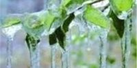 هشدار کاهش دما در 7 استان کشور