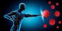 ۴ خوراکی جادویی برای تقویت سیستم ایمنی بدن