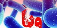 راه‌حل کلیدی برای پیشگیری از ابتلا به وبا در تابستان