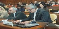 نماینده ایران در ژنو: ایران هیچ خصومتی با همسایگان خود ندارد/  استفاده از زور نباید در روابط بین‌الملل عادی‌سازی شود