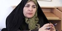 یک استعفای جدید در جبهه اصلاحات 