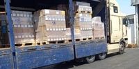 واردات ۱۴۳ تنی سرم دارویی از ترکیه
