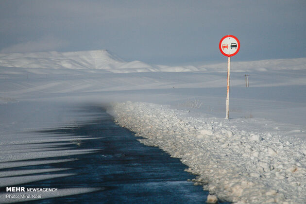 3013812_zzz_MG_6342