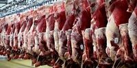 رمزگشایی از گرانی گوشت با وجود عرضه بالا +نمودار