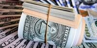 جزئیات مهم از بازپرداخت وام های ارزی صندوق توسعه ملی
