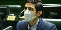 طعنه یک نماینده مجلس به مستر تستر/ آنقدر درآمد بالایی دارد که معده خود را بیمه می‌کند