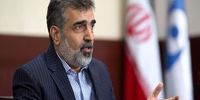 کمالوندی: ایران به دنبال لغو کامل تحریم ها است /زمان به نفع ایران است