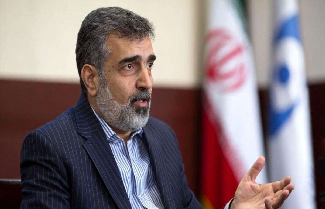 کمالوندی: ایران به دنبال لغو کامل تحریم ها است /زمان به نفع ایران است
