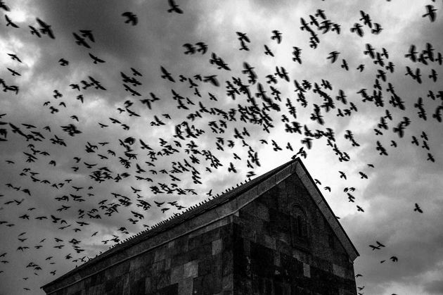 پرندگان در حال پرواز در بالای کلیسای مرمت شده سنت نینو