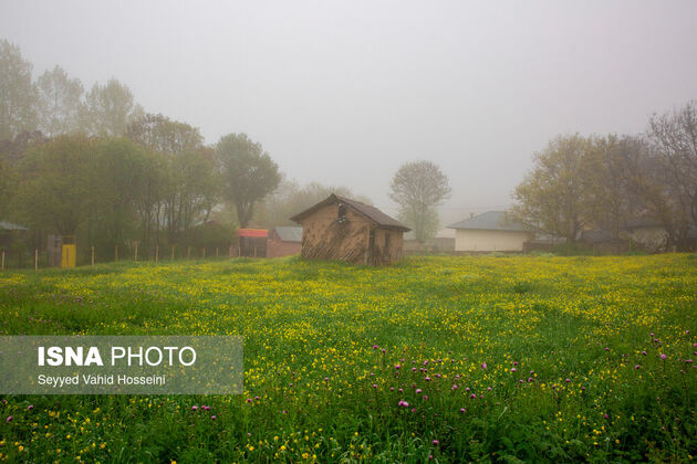 62300407_seyyed-vahid-hosseini-roudbar-38-