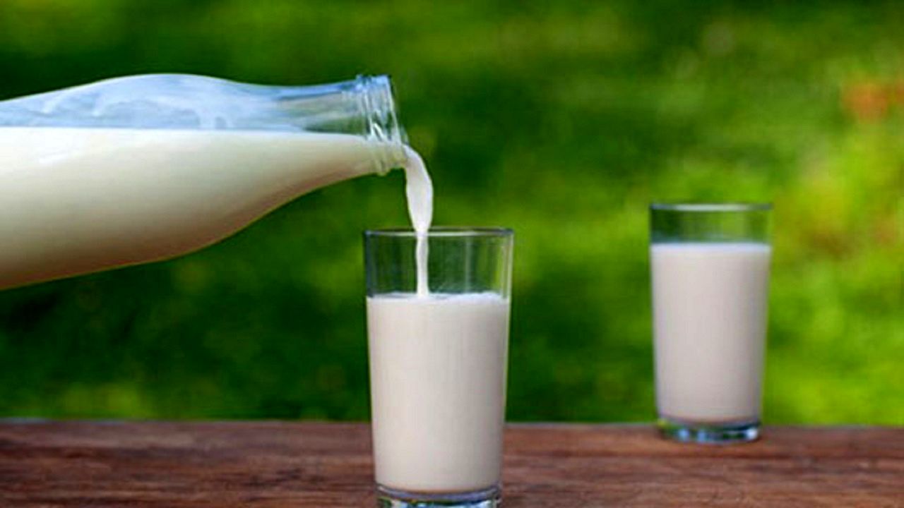 قیمت انواع شیر کم چرب در بازار+ جدول