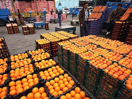 وضعیت توزیع میوه استان تهران برای تنظیم بازار شب عید