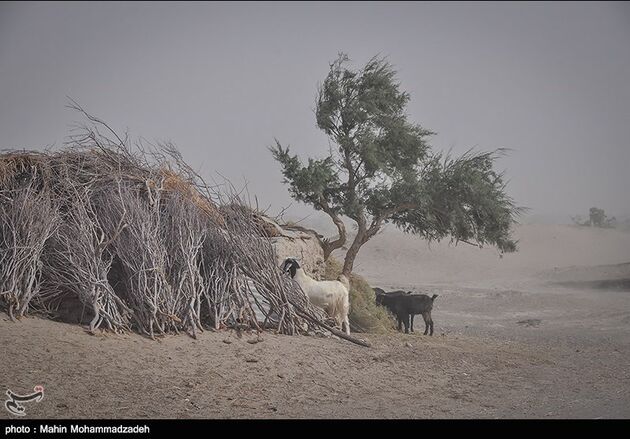 روستاهای هیرمند در بحران