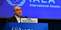 صالحی: رفتار تبعیض‌آمیز کشورها درباره ایران و اسرائیل به مضحکه گرفتن عدالت است