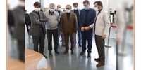 بالاترین سهم بازار خودرو در اختیار کدام خودروساز است؟
