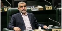 حمله نیکزاد به مجامع حقوق بشری!